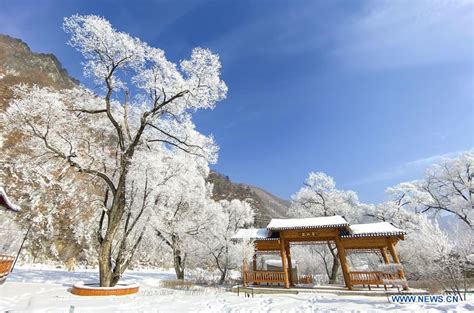 如何介紹吉林的冬天，以及為什麼企鵝不喜歡滑雪